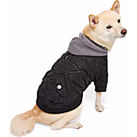 Reddy Hooded Pet Bomber Jacket