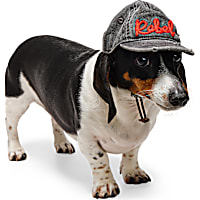Reddy Rebel Embroidered Pet Hat
