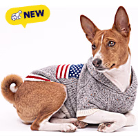 Reddy American Flag Hooded Pet Sweater