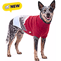 Reddy Snowy Scene Jacquard Knit Pet Sweater