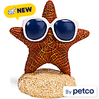 Imagitarium Sunglass Starfish Aquarium Decor