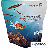Lily Bulb Pack