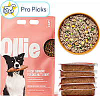 Ollie Fresh Beef Dish with Sweet Potatoes Fresh Frozen Dog Food