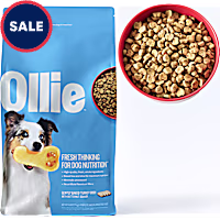 Ollie Baked Turkey Dish with Butternut Squash Dog Food