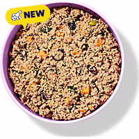 Ollie Fresh Holiday Feast Turkey Dish with Squash Fresh Frozen Dog Food
