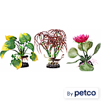 Imagitarium Floral Aquarium Plant