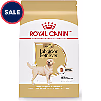 Royal Canin Breed Health Nutrition Labrador Retriever Adult Dry Dog Food