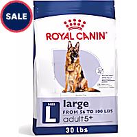 Royal Canin Size Health Nutrition Large 5+ Mature Dry Dog Food
