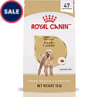 Royal Canin Breed Health Nutrition Poodle Adult Dry Dog Food