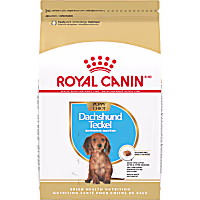 Royal Canin Breed Health Nutrition Dachshund Puppy Dry Dog Food