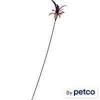Leaps & Bounds Pink Turkey Feather Cat Teaser