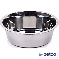 EveryYay Dining In Non-Skid Brushed Stainless Steel Dog Bowl