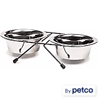 EveryYay Dining In Stainless Steel Double Diner for Dogs