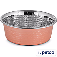 EveryYay Dining In Copper-Plated and Hammered Stainless-Steel Dog Bowl