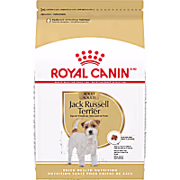 Royal Canin Breed Health Nutrition Jack Russell Terrier Adult Dry Dog Food