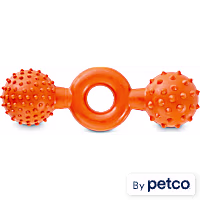 Leaps & Bounds Chomp and Chew Rubber Dumbbell Dog Toy in Assorted Colors
