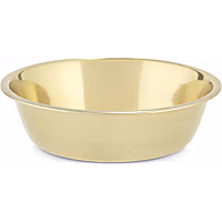 EveryYay Dining In Gold Stainless Steel Dog Bowl