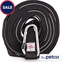 EveryYay Settin' the Pace Adjustable Recall Training Leash for Dogs