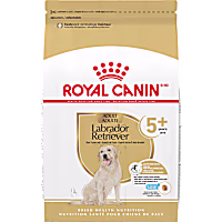 Royal Canin Breed Health Nutrition Labrador Retriever 5+ Mature Dry Dog Food