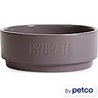 EveryYay Dining In Grey Hydrate Ceramic Dog Water Bowl