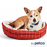 EveryYay Essentials Snooze Fest Brown Windowpane-Print Cuddler Dog Bed