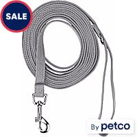 EveryYay Settin' the Pace Recall Training Leash for Dogs