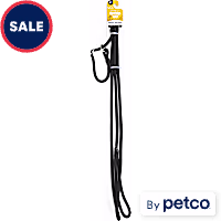 EveryYay Settin' the Pace  Training Rope Slip Leash for Dogs