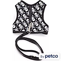 YOULY Skull Cat Harness & Leash Set