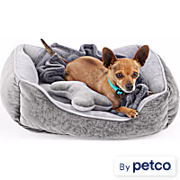 EveryYay Essentials Dog Bed Bundle