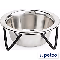 EveryYay Better Together Elevated Stainless-Steel Cat Bowl