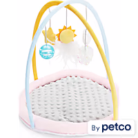Leaps & Bounds Playmat Kitten Toy