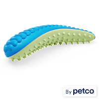 Leaps & Bounds Blue & Green Dental Chew Oval Dog Toy