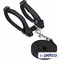 EveryYay Wear with Flair Deluxe Ferret Harness & Lead Set in Various Styles