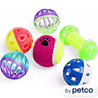 EveryYay Playin' Around Ferret Toys