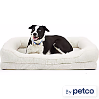 EveryYay Snooze Fest Orthopedic Cuddler Dog Bed
