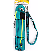 EveryYay Settin' the Pace Running Belt & Leash Set for Dogs