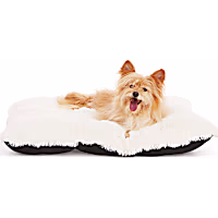EveryYay Essentials Snooze Fest Lavender-Scented Lounger Dog Bed