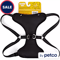 EveryYay Step in Dog Harness