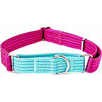 EveryYay Martingale Dog Collar