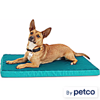 EveryYay Teal Cool Orthopedic Dog Crate Mat
