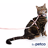 YOULY Glow in the Dark Cat Harness & Leash Set