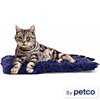 EveryYay Navy Fuzzy Cat Bed