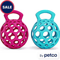 Leaps & Bounds Cage Ball with Handle Dog Toy