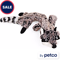 Leaps & Bounds Wildlife Raccoon Dog Toy