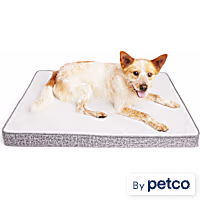 EveryYay Essentials Cooling Orthopedic Dog Bed