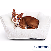 EveryYay Essentials Melange Comfort Wall Orthopedic Dog Bed