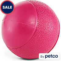 Leaps & Bounds Squeak Ball Assorted Dog Toy