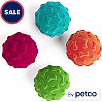 Leaps & Bounds Flocked Foam Dog Toy