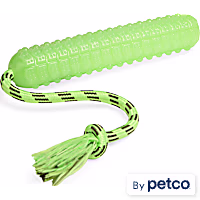 Leaps & Bounds Glow Bumper Dog Toy