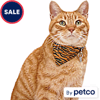 YOULY Slide-On Bandana Collar Accessory for Cats
